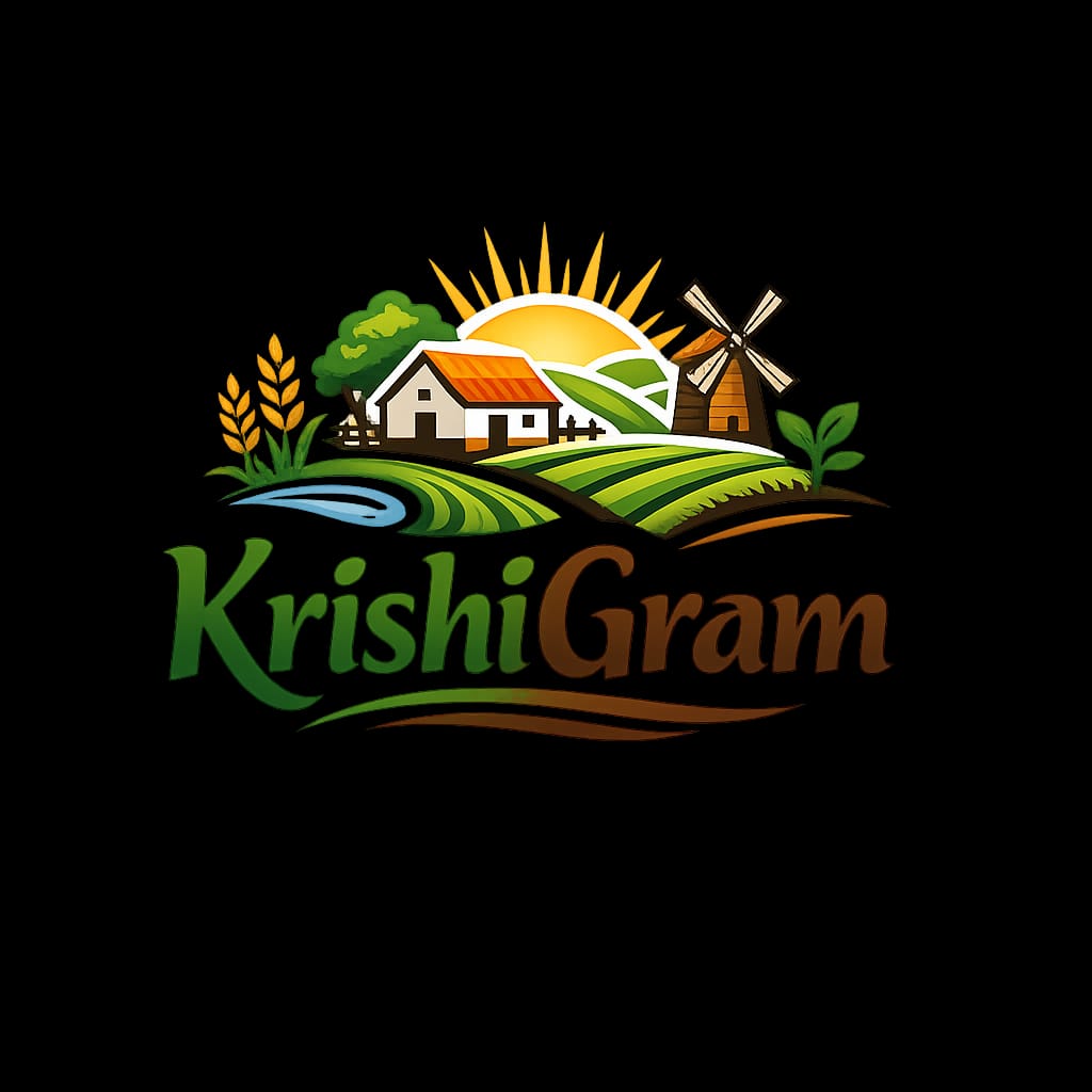 Featured Brand Product Showcase